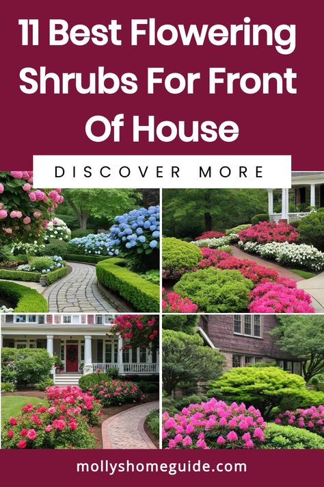 Enhance the curb appeal of your home with these beautiful flowering shrubs for the front yard. From fragrant varieties to low-maintenance options, find the perfect shrub to add vibrant color and charm to your outdoor landscape. Explore our selection of gorgeous flowering shrubs that bloom all year round, creating a stunning display for your sunny front yard. Discover perennial and evergreen options that provide long-lasting blooms, ideal for adding a touch of beauty to your space. Bushes In Front Of House Low Maintenance, Shrubs In Front Of House, Shrubs For Shade, Blooming Shrubs, Spirea Shrub, Shrubs For Landscaping, Low Growing Shrubs, Types Of Shrubs, Low Maintenance Shrubs