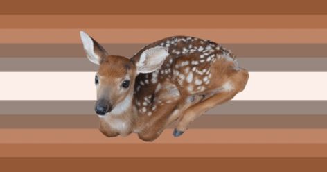 Deer Xenogender, Deer Gender, Gender Board, Flag Maker, Xeno Hoard, Angel Theme, Gender Flags, Gotta Catch Them All, Lgbtq Flags