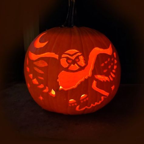 This is a carved, candlelit pumpkin on a dark background. The carved image is an owl in flight, wings spread, head turned to fix the viewer with an eerie stare. A crescent moon shines above. Owl House Pumpkin Carving, House Pumpkin Carving, House Pumpkin, Owl Pumpkin, Pumpkin Carving Ideas, Carving Ideas, Pumpkin Seeds, Halloween Pumpkin, Owl House