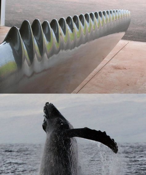 Biomimicry: Nature-inspired-design. 9 examples here. Biomimicry Examples, Bionic Design, Water Turbine, Creepy Animals, Wind Turbines, Wind Energy, Humpback Whale, Fan Blades, Nature Inspired Design