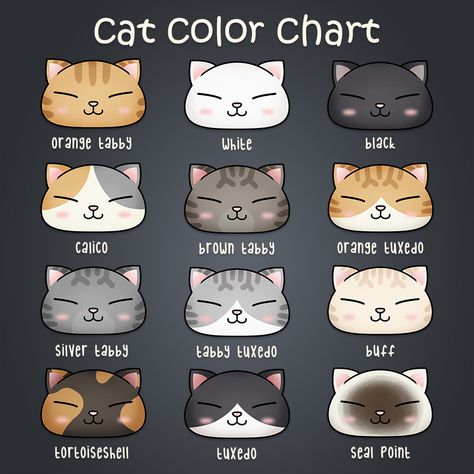 Different Cat Colors, Cat Colors Chart, Cat Color Chart, What Cat, Detailed Coloring Pages, Kawaii Cat, Cat Colors, Simple Colors, All About Cats