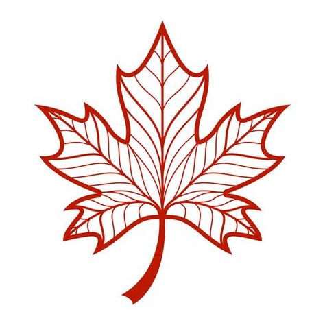 Simple Maple Leaf Drawing, Maple Leaf Svg Free, Maple Leaf Silhouette, Maple Leaf Stencil, Autumn Leaves Clipart, Leaf Motif Design, Maple Leaf Tattoo Design, Maple Leaf Aesthetic, Maple Leaf Outline