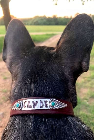 Guess what this fur friend name is? Sterling, white bronze, and turquoise dog collar on American made high quality leather dog collar. A keepsake forever! See link in bio. #sweetbirdstudio #tucson #americanmade #artjewerly #folkart #mixmedia #bohowestern #Tucson #petcollars #dogsofinstagram #petsofinstagram #furbaby Turquoise Dog Collar, Jewerly Art, Found Object Jewelry, Custom Dog Collars, Leather Dog Collar, Found Object, Custom Dog, American Made, Pet Collars