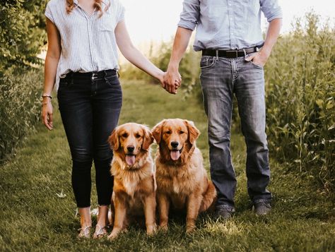 Two Dog Family Photo, Couple With 2 Dogs Photography, Fall Portraits With Dog, Family Portrait With Dog Ideas, Maternity Family Photos With Dog, 2 Dogs And Owner Photography, Family Pic With Dog Ideas, Fall Family Dog Photos, New Puppy Family Photoshoot