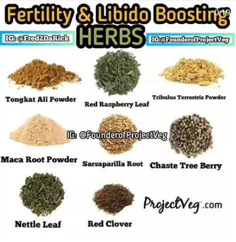 Herbs For Fertility, Herbal Tea Benefits, Herbal Steam, Chaste Tree, Fertility Health, Medical Herbs, Ayurvedic Healing, Food Health Benefits, Red Clover