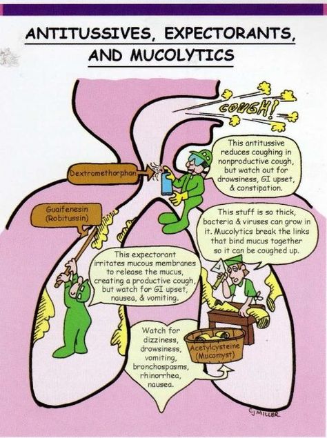 Nursing Pharmacology: Antitusssives, Expectorants and Mucolytics Antitussives Pharmacology, Pharmacology Respiratory Meds, Respiratory Pharmacology, Pharmacology Mnemonics, Mountain Love, Nurse Study Notes, Nursing Mnemonics, Pharmacology Nursing, Nursing School Survival