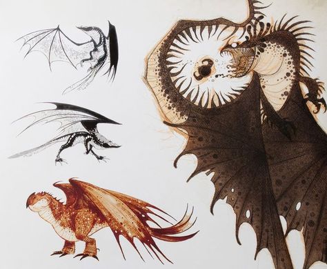 17 Best ideas about Dragon Design on Pinterest | Dragons, How to ... Nico Marlet, Httyd Concept Art, Httyd Art, Httyd Dragons, Train Your Dragon, Dreamworks Animation, Concept Art Character, Book Dragon, Dragon Drawing