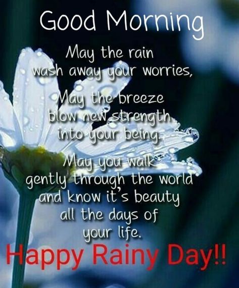 Rainy Day Blessings Quotes, Rainy Day Blessings Good Morning, Good Rainy Morning Quotes, Rainy Morning Quotes Rain Weather, Good Morning Rainy Day Quotes, Raining Day Quotes, Rainy Morning Quotes, Daily Inspiration Quotes Motivation, Good Morning Rain