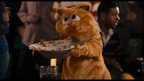 Garfield Lasagna, Funny Disney Cartoons, Food Lasagna, Garfield The Movie, Garfield Pictures, Garfield Images, Cheese And Tomato, Garfield Cat, Girl Guide