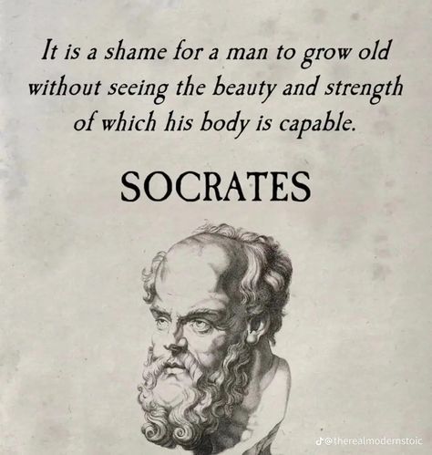 Ancient Quotes Philosophy, Ancient Quotes, Socrates Quotes, Stoicism Quotes, Stoic Quotes, Man Up Quotes, Historical Quotes, Philosophical Quotes, Literature Quotes