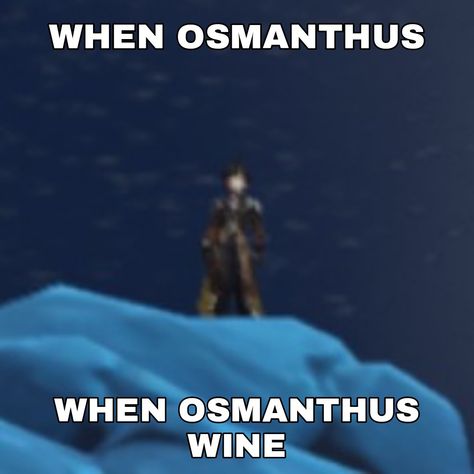 zhongli lol Osmanthus Wine Zhongli, Osmanthus Wine, Wine Meme, Wine Tasting, Genshin Impact, Wine, Memes, Movie Posters, Film Posters