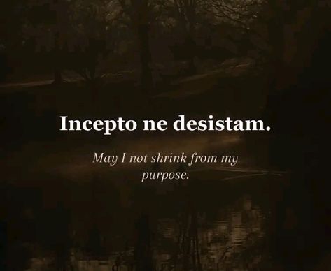 Latin Quotes With Translation, Short Latin Quotes, Latin Quotes Wallpaper, Dark Latin Phrases, Latin Quotes And Meanings, Translated Quotes, Dnd Quotes, Latin Proverbs, Wallpaper Bagus