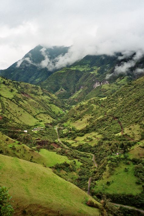 Forest Description, Different Types Of Forests, Mindo Ecuador, Types Of Forests, Cloud Forest, Sacred Spaces, America Latina, Virtual Travel, Travel South