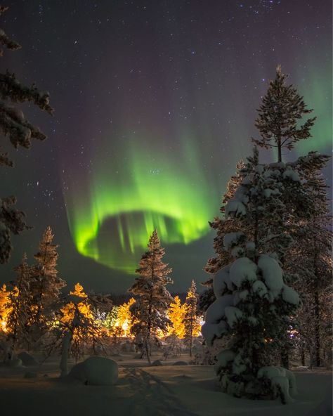 Norway Christmas, Santa Claus Village, The Santa Claus, Santa's Village, Lapland Finland, Beautiful Travel Destinations, Dark Winter, The Northern Lights, Dream Travel Destinations