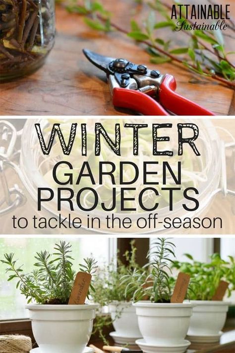 Cold Weather Garden, Winter Gardening, Gardening Projects, Indoor Vegetable Gardening, Survival Gardening, Winter Vegetables, Container Gardening Vegetables, Organic Gardening Tips, Hydroponic Gardening