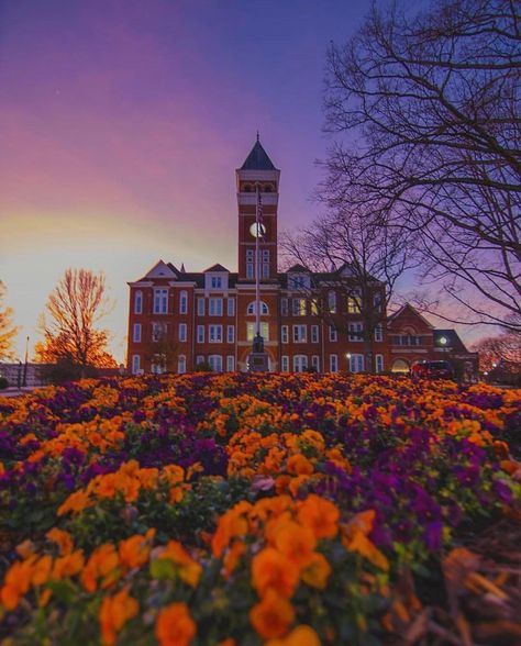 There is just something in these hills! 🌅 . . #Clemson #clemsonuniversity #campus #beautiful #sunset #special #purple #orange #college… Clemson Aesthetic, Clemson University Campus, Clemson Wallpaper, Clemson Campus, Clemson Art, Clemson South Carolina, Clemson Tigers Football, Clemson Fans, Clemson Football