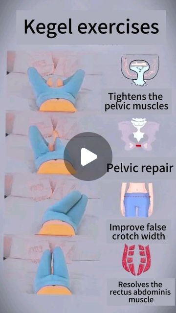 Rectus Abdominis Muscle, Pelvic Muscles, Rectus Abdominis, Pelvic Floor Exercises, Kegel Exercise, Tag Friends, Weight Workout Plan, Workout Session, Fat Burning Workout