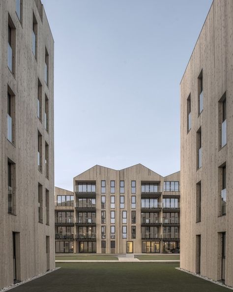 Modern Classical Architecture, Minimal Windows, Timber Architecture, Block Of Flats, Facade Material, Window Detail, The Exit, Timber Construction, Traditional Building