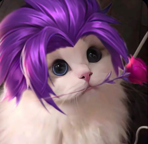 𝑴𝒍𝒃𝒃 𝒄𝒂𝒕 Mlbb Profile Picture Anime, Gusion Epic Skin, Gusion Mlbb Icon, Ml Profile, Mlbb Cat Icon, Mlbb Profile Picture, Gusion Mobile Legend, Anime Wallpapers For Mobile, Mlbb Gusion