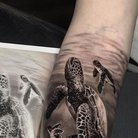 Dylan Weber on Instagram: "Turtle family for Kayla to start her Hawaiian theme sleeve 🐢 looking forward to this one! Thank you @atlnts.studio #turtle #turtletattoo #hawaii #hawaiintheme #ocean #scenery #blackandgrey #sydneytattooartist #sleevetattoo #seaturtle #realism #tattooartist #oceanphotography @intenzetattooink @inkeeze @inkjecta @mdwipeoutz @kwadron @_numb_skulled" Ocean Scenery, Turtle Tattoo, Hawaiian Theme, Ocean Photography, Looking Forward, Realism, Sleeve Tattoos, Tattoo Artists, Hawaii