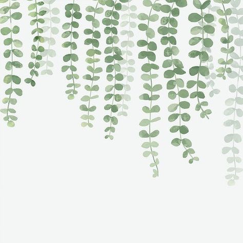 Collection of hand drawn plants isolated on white background Ipad Wallpaper Aesthetic Horizontal Boho, Boho Macbook Wallpaper Horizontal, Plant Astethic Wallpaper, Eucalyptus Background Wallpapers, Eucalyptus Wallpaper Iphone, Macbook Wallpaper High Quality Minimalist, Chrome Book Wallpapers Aesthetic, Computers Background, Cute Plant Wallpaper