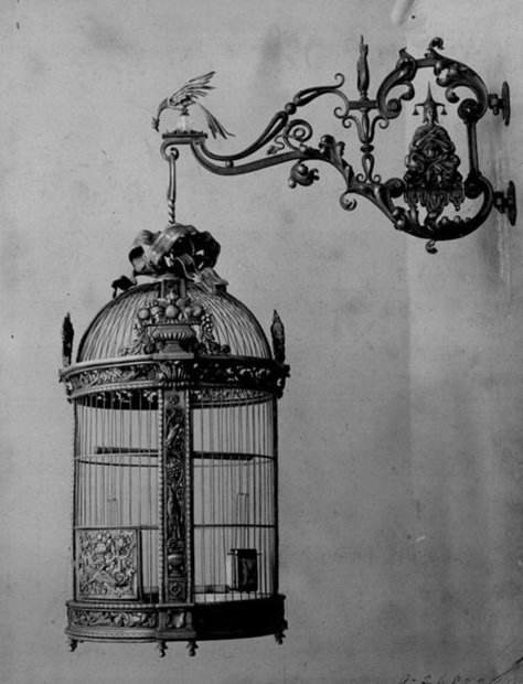 I just love this vintage looking bird cage and the bracket holding it is amazing. I would love to have this but I don't actually like birds in cages. I must say it looks divine empty. Antique Bird Cages, Vintage Films, Bird In A Cage, Bird Cage Decor, Vintage Bird Cage, Peregrine, Bird Cages, Gothic Decor, Gothic Home Decor