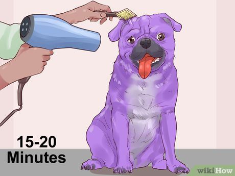 Food Coloring Hair Dye, How To Make Purple, Neon Food Coloring, Purple Food Coloring, Food Coloring Pages, Purple Food, Natural Food Coloring, Blue Food Coloring, Dog Coloring Page