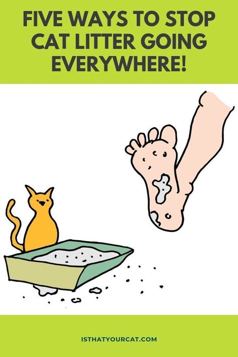 Treading on cat litter is unpleasant especially if you have bare feet. How can cat litter tracking be stopped?#… | Litter tracking, Cat litter mat, Best cat litter Stop Kitty Litter Tracking, Liter Box Ideas Cat, Litter Box Room Ideas, Cool Cat Furniture, Cat Litter Solutions, Cat Litter Tracking Solutions, Cat Items Products, Diy Kitty Litter Box Ideas, Cat Box Ideas Diy