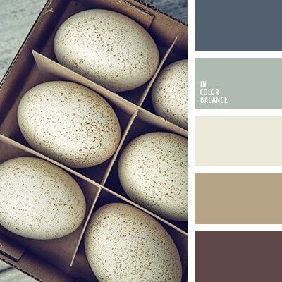 Flat Bedroom, Farmhouse Kitchen Colors, Kitchen Color Palettes, Teal Color Palette, Trendy Kitchen Colors, Farmhouse Paint Colors, Color Schemes Colour Palettes, Kitchen Colour Schemes, Comfort Gray