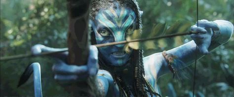 Zoe Saldana Avatar, Andromeda Constellation, Avatar Wallpaper, Avatar Film, Stephen Lang, Beau Film, Avatar James Cameron, Avatar Films, Best Cinematography