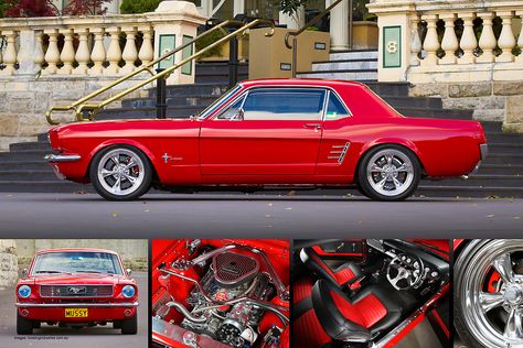 Keith Keily's 1966 Ford Mustang Coupe - Poster by HoskingInd Mustang 66, Mustang 65, Mustang 1966, Ford Mustang 1965, Ford Mustang Classic, 66 Mustang, Vintage Auto's, 65 Mustang, Vintage Mustang