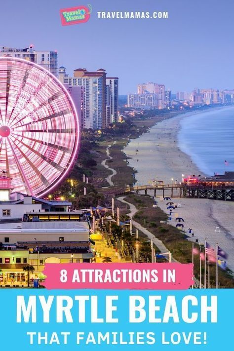 From gators to golf, these eight Myrtle Beach family activities and attractions will keep all ages entertained and happy during a South Carolina vacation. Myrtle Beach Family Vacation, Myrtle Beach Things To Do, Vacation Restaurants, Beach With Kids, Myrtle Beach Trip, Brookgreen Gardens, South Carolina Vacation, South Carolina Travel, Beach Things