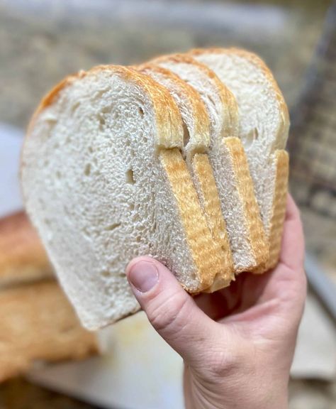 The Best Sourdough Discard Sandwich Bread - Amy Bakes Bread Soft Sandwich Bread Recipe, Sourdough Discard Sandwich Bread, Discard Sandwich Bread, Sandwhich Bread, Sourdough Starters, Sourdough Muffins, Discard Recipe, Sourdough Bread Sandwiches, Sourdough Sandwich