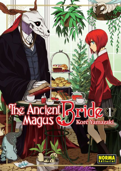 Manga Box Sets, Chise Hatori, Elias Ainsworth, Magus Bride, Ancient Magus Bride, The Ancient Magus Bride, Pandora Hearts, Fantasy Romance, Noragami