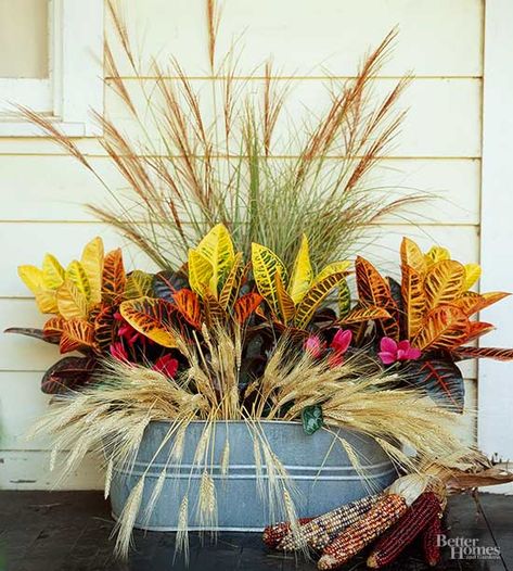 Show off your gardening prowess with a tin basin overflowing with fall finds. Set next to your door, it invites color and conversation. To make, place pots of croton shrubs in the center of the basin. Surround the front with droopy dried wheat, and fill the back with tall grasses. Lay dried Indian corn beside the display./ Miscanthus Sinensis, Plant Arrangement, Fall Container Gardens, Metal Tub, Fall Containers, Container Garden Design, Fall Planters, Fall Front Door, Birdcages