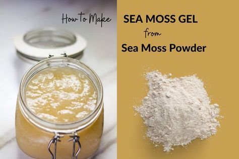 How to Make Sea moss Gel from Sea moss Powder Seamoss Powder Recipes, Irish Moss Powder Recipes, Irish Sea Moss Powder Recipes, Making Sea Moss Gel, Diy Sea Moss Gel, Sea Moss Powder Recipes, Make Sea Moss Gel, Sea Moss Powder, Seamoss Gel