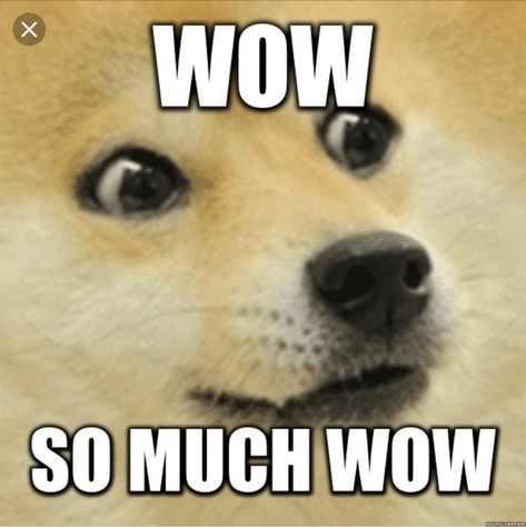 lol Omg Meme, Roll Eyes, Wow Meme, Doge Dog, Meme Names, Doge Meme, Terrible Jokes, Funny Expressions, Funny Work Jokes