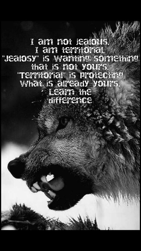 Wolf Pack Quotes, Inspirational Animal Quotes, Alpha Quote, Lone Wolf Quotes, Wolf Quotes, Savage Quotes, Warrior Quotes, Lone Wolf, A Wolf