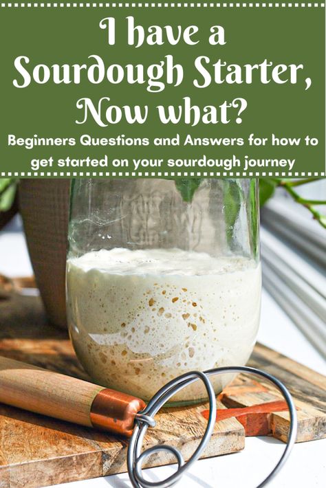 I Have a Sourdough Starter, Now What? How To Use My Sourdough Starter, Sourdough Starter From Discard, How Much Sourdough Starter For Bread, Sourdough With Starter Recipe, Recipes Made With Sourdough Starter, Sourdough Bread Using Starter, How To Cook With Sourdough Starter, Making Bread From Sourdough Starter, Sour Dough Starter Bread Recipe