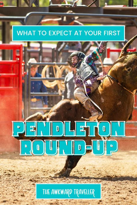 Is it your first time attending the famous Pendleton Round-Up? Here's everything to expect from the wildest rodeo in Eastern Oregon! #traveloregon #pendleton #oregon #rodeo #cowboy Pendleton Round Up, Pendleton Oregon, Bucking Bulls, Rodeo Events, Black Cowboys, Sleepy Girl, Real Cowboys, New Haven Connecticut, Eastern Oregon