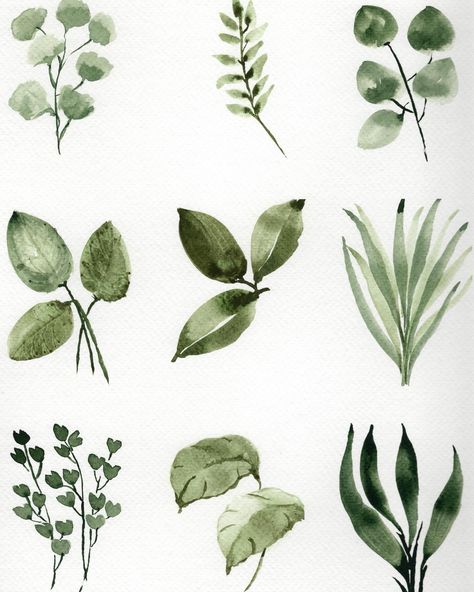 Do you have a favorite? We’re learning how to paint these compositions in the next 3 classes. 1. Loose Florals 2. Wildflowers 3. Leaf Study So which is your favorite? 1, 2, or 3? And if you’re signed up for class, which class will we be painting together? I can’t wait!! #huart #watercolor #watercolorart #watercolortips #watercolorist #learnwatercolor #watercolorpainting #watercolorbeginners #watercolordaily #artreels #duluth #duluthmn #art #watercolortutorial #artinspiration #duluthevents... Watercolor Leaf, Learn Watercolor, Watercolor Tips, Duluth Mn, Print Greeting Cards, Favorite Paint, Watercolor Art Lessons, Watercolor Leaves, Watercolour Tutorials