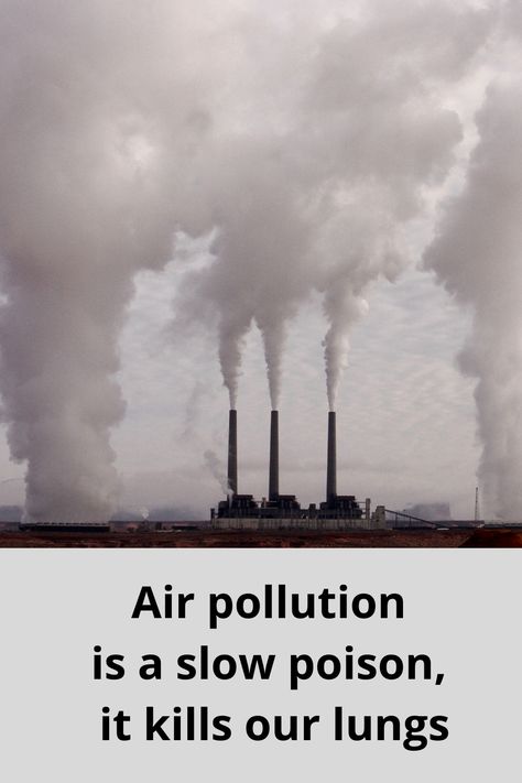 📌 Air pollution is a slow poison, it kills our lungs. #stoppollution #airpollution #whatcanyoudo #sustainableliving #climatecrisis #ClimateEmergency Stop Air Pollution, Air Pollution Facts, File Cover, Our Environment, Bear Wallpaper, Air Pollution, Lungs, Sustainable Living, Pollution