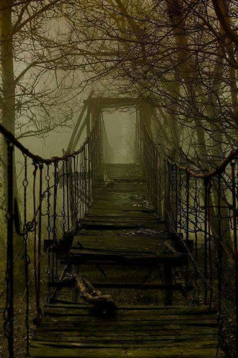 A beautiful creepy bridge... Mailbox Landscaping, Low Maintenance Landscaping, Old Bridge, Afraid Of The Dark, Abandoned Places, Aesthetic Photography, In The Woods, Dark Fantasy, In The Middle