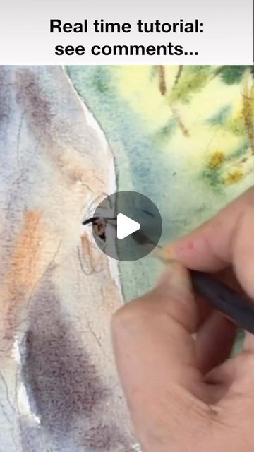 Karen Rice | Watercolour on Instagram: "Easy Watercolour Backgrounds / Elephant Painting Tutorial https://www.youtube.com/watch?v=hVw7hJNBIxo  #watercoloreasy #watercolourdemo #watercolourart #water-colourhowto #watercolourart #watercolortechniques" Watercolor Elephant Tutorial, Watercolour Animals Easy, Watercolour Elephant, Watercolor Elephant, Elephant Painting, Diy Watercolor, Easy Watercolor, March 1, Watercolor Techniques