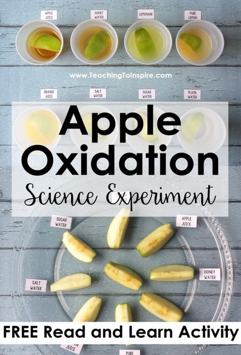 Apple Science Experiments, Kids Science Fair Projects, Science Fair Experiments, Vetenskapliga Experiment, Jennifer Findley, Fall Science, Science Experiment For Kids, Experiment For Kids, Science Reading