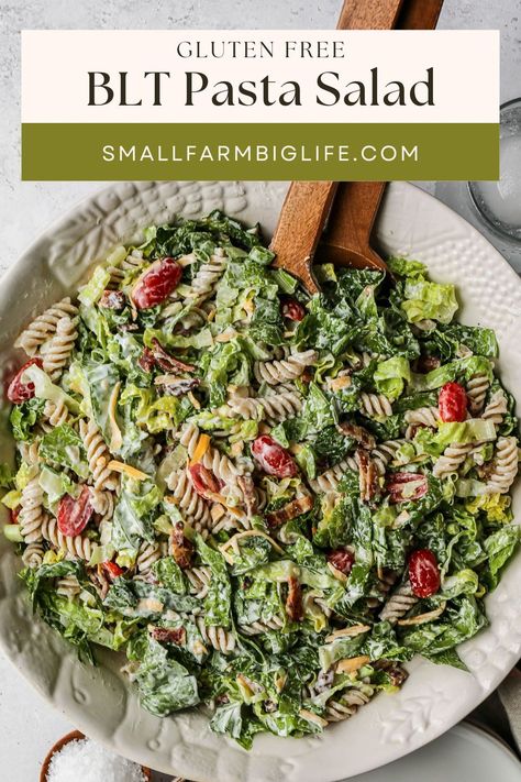 This easy recipe for gluten free BLT pasta salad is a delicious side dish full of veggies. It's a cold salad made with mayo, lettuce, tomatoes and bacon. The creamy dressing makes this healthy pasta salad recipe over the top good! Lite Pasta Salad, Pasta Salad Recipes Gluten Free, Gluten Free Cold Pasta Salad, Hearty Pasta Salad, Paleo Pasta Salad, Gluten Free Pasta Salad Recipes Cold, Gf Pasta Salad, Gluten Free Pasta Salad Recipes, Light Pasta Salads