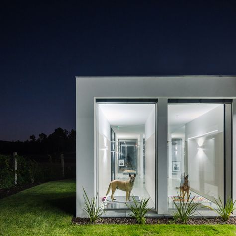 Raulino Silva Arquitecto designs a hotel for cats and dogs in Portugal Dog Hotel Rooms, Big Glass Windows, Cat Hotel, Dog Hotel, Pet Hotel, Basement Plans, Indoor Play Areas, Mexico Hotels, Rooftop Restaurant