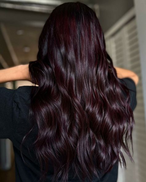 Blackish Red Hair Color, Hair Color Black Cherry, Brighten Up Dark Hair, Midnight Cherry Hair Color, Violet Burgundy Hair Color, Hair Color For Light Medium Skin Tone, 4vv Hair Color, Raspberry Chocolate Hair Color, Cranberry Brown Hair