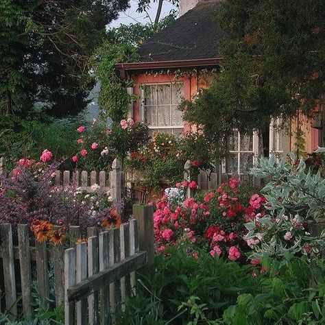 ριитєяєѕт // вяєαииα мαяιє Flower Carpet, Gladioli, Cottagecore Aesthetic, Old Farmhouse, Picket Fence, English Cottage, Garden Cottage, Nature Aesthetic, Shade Garden