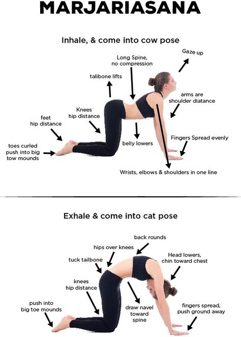 Cat Cow Yoga Pose, 10 Yoga Poses, Cat Cow, Ashtanga Vinyasa Yoga, Cow Pose, Yoga Anatomy, Yoga Lessons, Yoga Beginners, Yoga Video